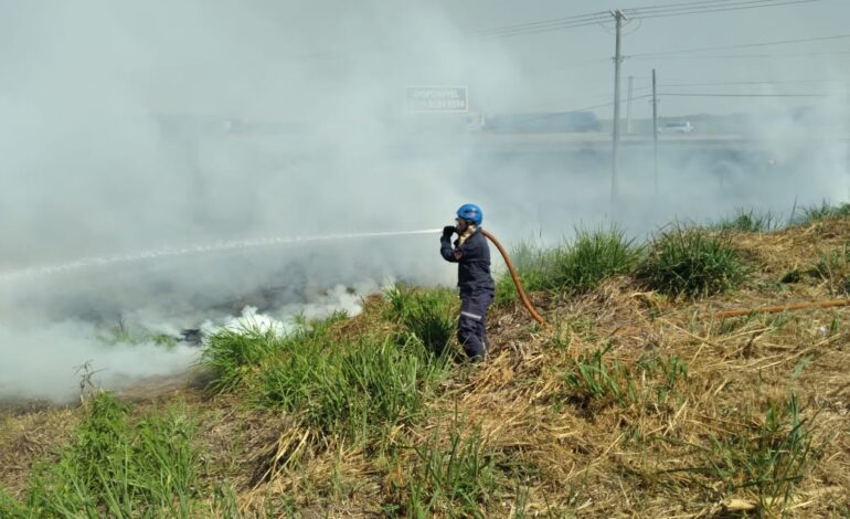 Defesa Civil de Cordeirópolis intensifica campanha contra queimadas