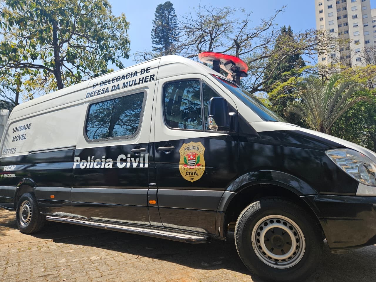 Carnaval em SP terá delegacia móvel, ações educativas e reforço policial para proteger mulheres